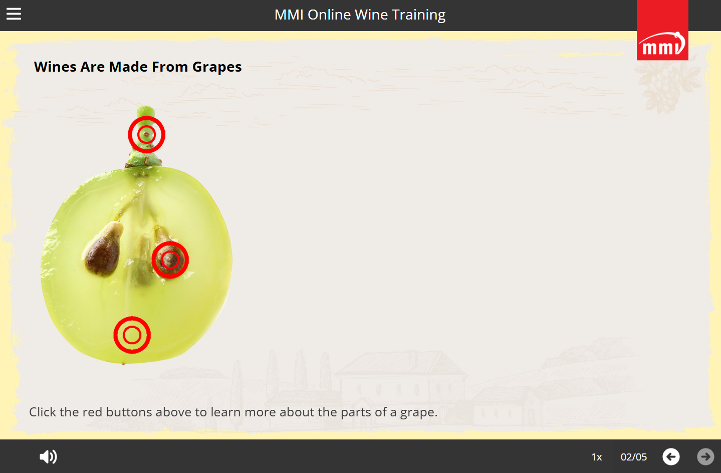 MMI Online Wine Training